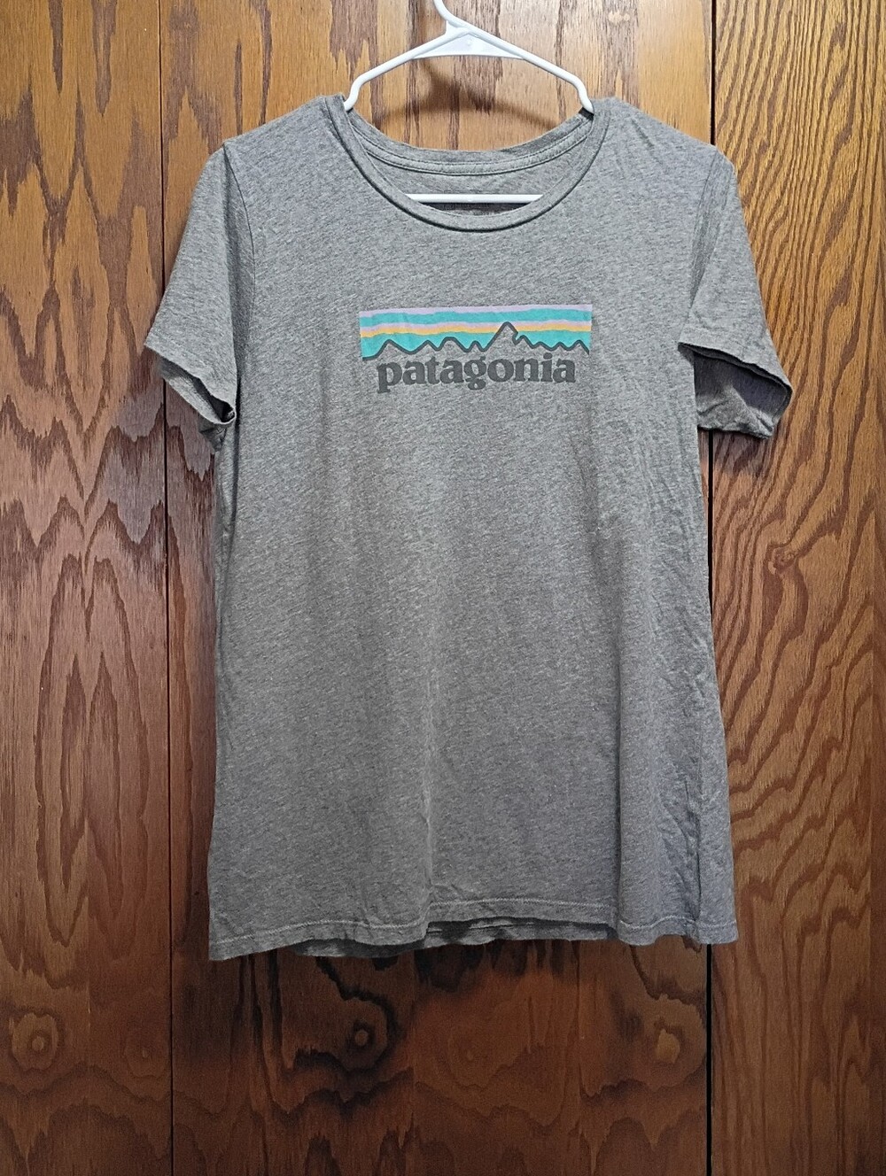 Patagonia Woman's Gray Tee with Multicolor Mountain Logo